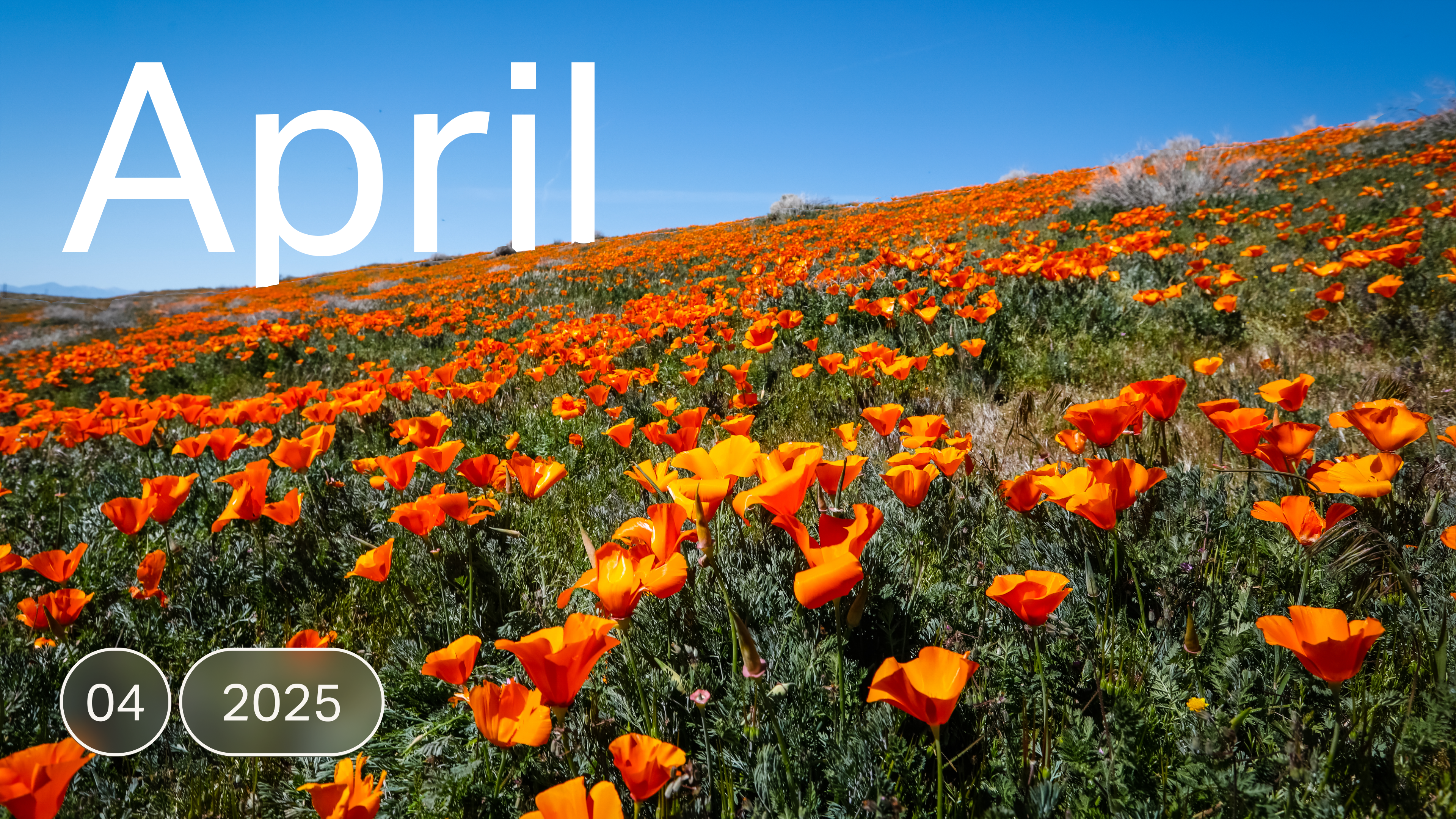 New in April 2025: TaxIQ Upgrades, Bank Sweep Program Updates