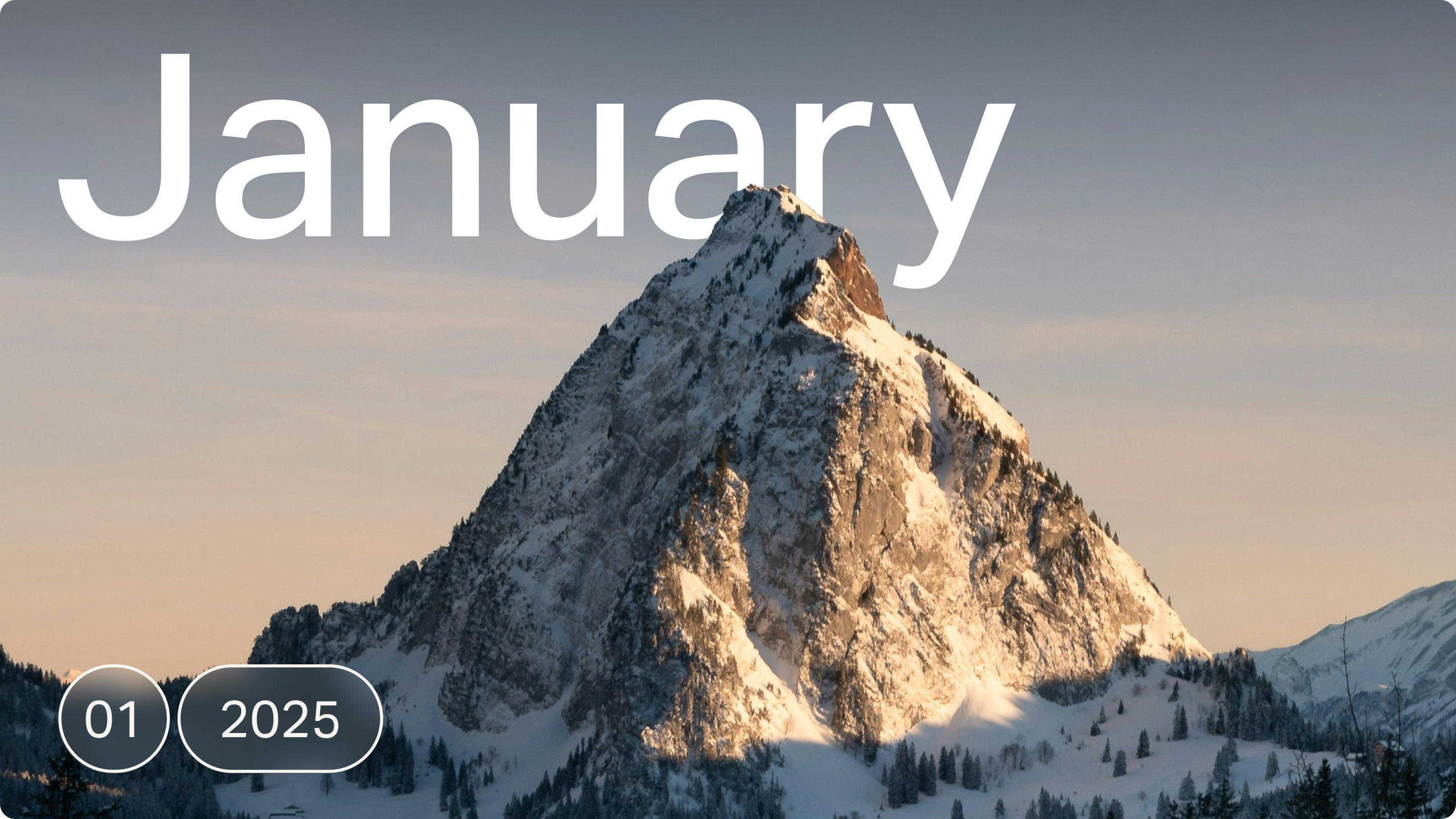 New in January 2025: Manual Rebalancer, Client Report Updates, DRIP Settings